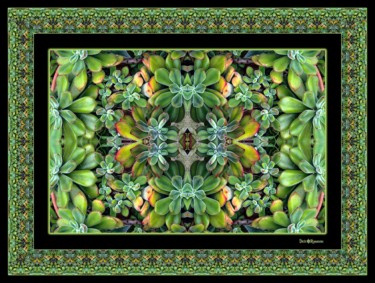 Photography titled "Sumptuous Succulents" by Dick And Rosanne, Original Artwork, Digital Photography