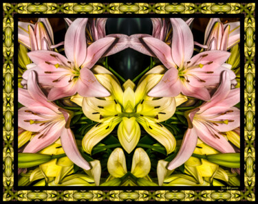Photography titled "Pink and Yellow Lil…" by Dick And Rosanne, Original Artwork, Digital Photography