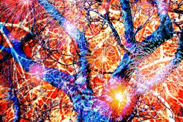 Arts numériques intitulée "neurones - feu d'ar…" par Did, Œuvre d'art originale, Peinture numérique