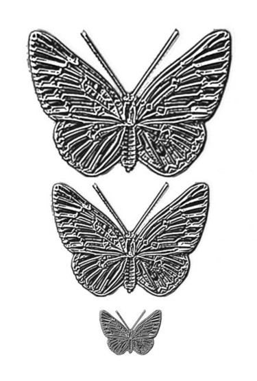 Arts numériques intitulée "papillons argent" par Did, Œuvre d'art originale
