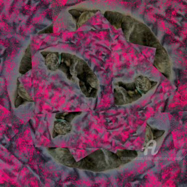 Arte digital titulada "Kitty's Dreams" por Dida Andr & Tevah.Art Studio, Obra de arte original, Fotografía manipulada