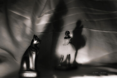 Photographie intitulée "La danseuse et le c…" par Didier Bloch, Œuvre d'art originale, Photographie numérique