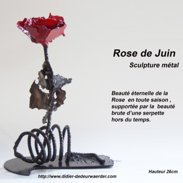 Sculpture intitulée "Rose de juin" par Didier Dedeurwaerder, Œuvre d'art originale, Métaux