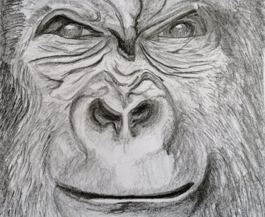 Zeichnungen mit dem Titel "Le gorille" von Didier Piron, Original-Kunstwerk, Bleistift