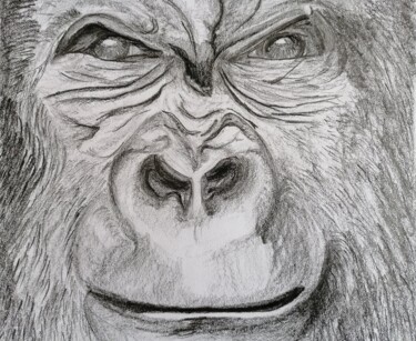 Drawing titled "Le gorille" by Didier Piron, Original Artwork, Pencil