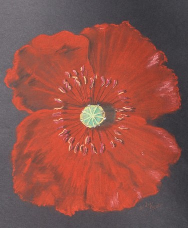 Drawing titled "Coquelicot ouvert" by Didier Piron, Original Artwork, Pastel