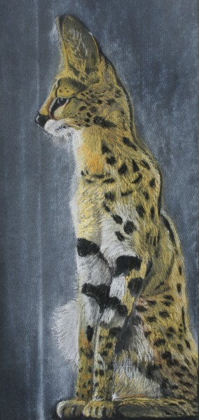 Drawing titled "Le lynx" by Didier Piron, Original Artwork, Pastel