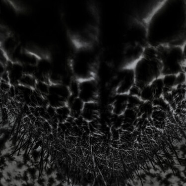 Fotografía titulada "Espostoa melanostele" por Didier Van Der Borght, Obra de arte original, Fotografía digital