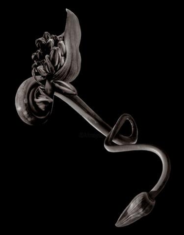 Φωτογραφία με τίτλο "Chimère 1" από Didier Van Der Borght, Αυθεντικά έργα τέχνης, Χειρισμένη φωτογραφία