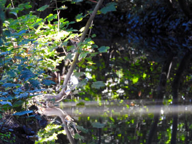 Photographie intitulée "Reflets" par Didier Cayet, Œuvre d'art originale