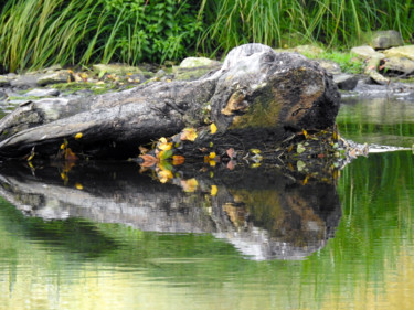 Photographie intitulée "Des fleurs dans la…" par Didier Cayet, Œuvre d'art originale