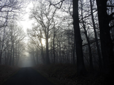 Photography titled "Allée de brouillard" by Didier Cayet, Original Artwork