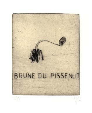 Obrazy i ryciny zatytułowany „la brune du pissenl…” autorstwa Didier Hamey, Oryginalna praca, Rytownictwo
