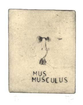 Estampas & grabados titulada "mus musculus" por Didier Hamey, Obra de arte original, Grabado
