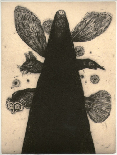 Gravures & estampes intitulée "Fûri" par Didier Hamey, Œuvre d'art originale, Gravure