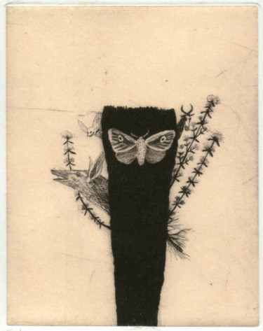 Ko bôzu Printmaking titled "Ko bôzu" by Didier Hamey, Original Art, Engraving