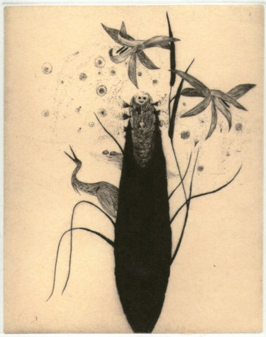 Printmaking titled "Yaniri" by Didier Hamey, Original Artwork, Engraving