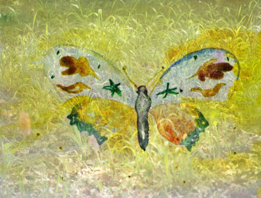 Arts numériques intitulée "papillon" par Didon, Œuvre d'art originale, Photographie numérique