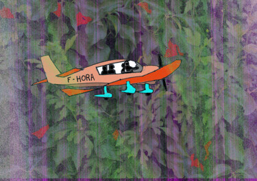 Arts numériques intitulée "avion coucou" par Didon, Œuvre d'art originale, Travail numérique 2D