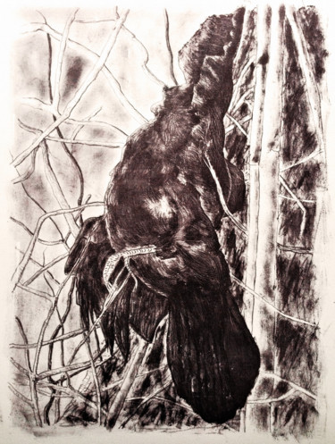 Gravures & estampes intitulée "Krähe - Crow" par Dietmar Egger, Œuvre d'art originale, Lithographie