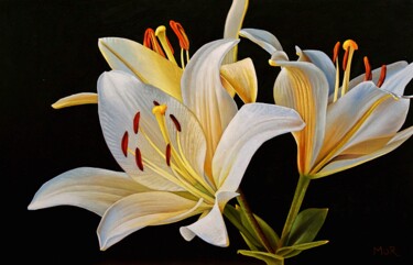 Painting titled "Lillies" by Dietrich Moravec, Original Artwork, Oil