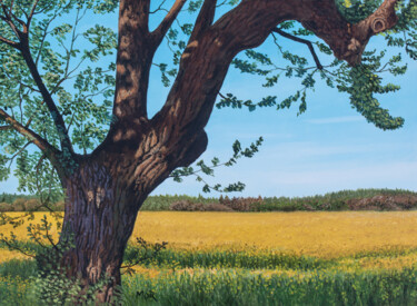 Schilderij getiteld "Tree And Rape Field" door Dietrich Moravec, Origineel Kunstwerk, Olie Gemonteerd op Houten paneel