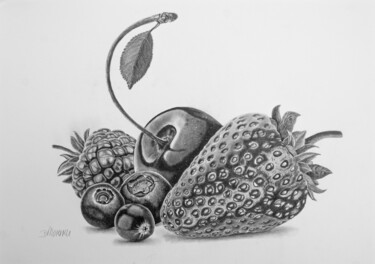 Drawing titled "Berry Collection" by Dietrich Moravec, Original Artwork, Pencil