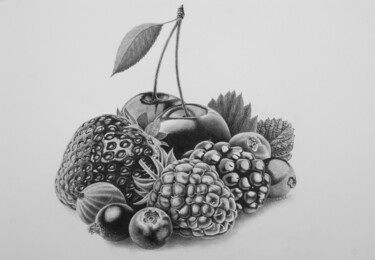 Desenho intitulada "Berry Collection Nr…" por Dietrich Moravec, Obras de arte originais, Lápis