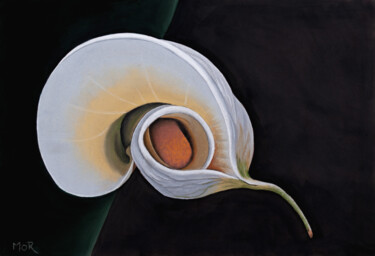 Desenho intitulada "White Calla II" por Dietrich Moravec, Obras de arte originais, Pastel