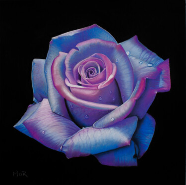 Painting titled "Blue and Pink Rose" by Dietrich Moravec, Original Artwork, Pastel