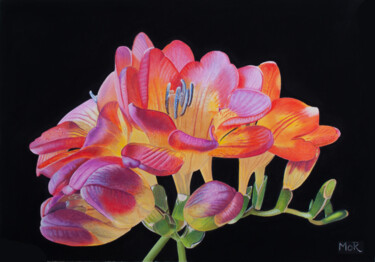 Painting titled "Floral Firework" by Dietrich Moravec, Original Artwork, Pastel
