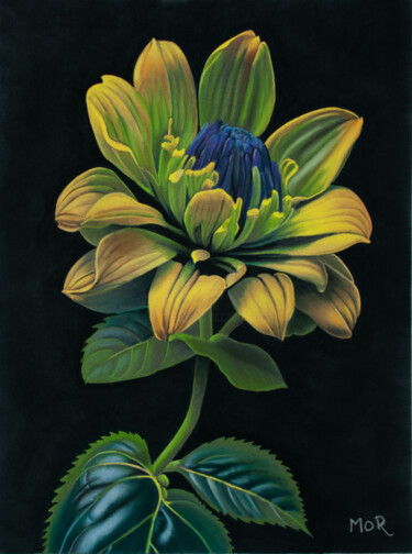 Картина под названием "Mystic Flower #1" - Dietrich Moravec, Подлинное произведение искусства, Пастель