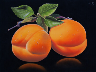 Painting titled "Apricots and Leaves" by Dietrich Moravec, Original Artwork, Pastel