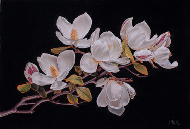 Pintura intitulada "Magnolia Blossoms i…" por Dietrich Moravec, Obras de arte originais, Pastel