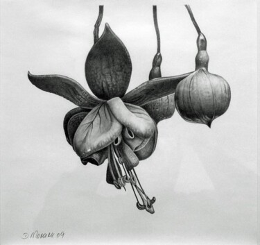 Dessin intitulée "Levitating blossoms" par Dietrich Moravec, Œuvre d'art originale, Autre