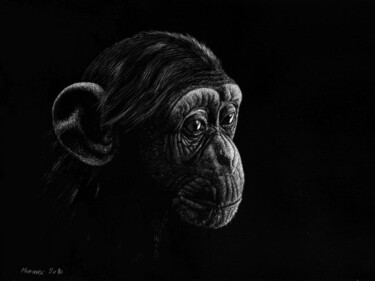 Zeichnungen mit dem Titel "Junger Schimpanse" von Dietrich Moravec, Original-Kunstwerk