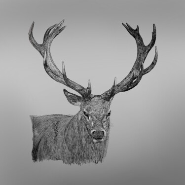 Digitale Kunst getiteld "Hert met inkt gemaa…" door Digitalartforyou, Origineel Kunstwerk, Digitaal Schilderwerk