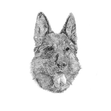 Digitale Kunst getiteld "German Shepherd kop" door Digitalartforyou, Origineel Kunstwerk, Inkt