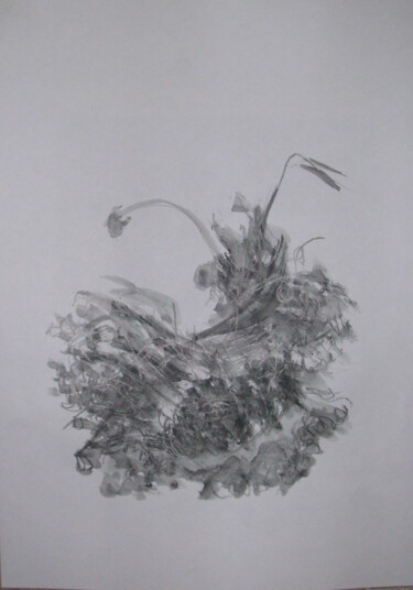 「DESEN 4」というタイトルの描画 Dilara Gürler  Sahinによって, オリジナルのアートワーク, 木炭
