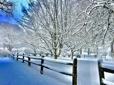 Photography titled "Winterland.jpeg" by Dilian Deal, Original Artwork