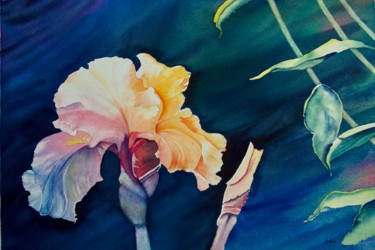 Digital Arts titled "Iris" by Dilian Deal, Original Artwork, Watercolor