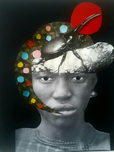 Os besouros também podem voar Collages titled "Os besouros também…" by Warlen Dimas Marques, Original Art, Collages