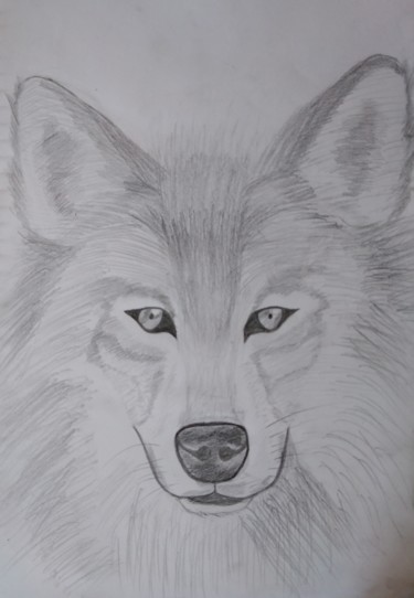 Painting titled "Wolf" by Dimitra Ger, Original Artwork, Graphite