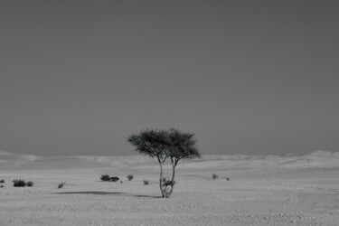 摄影 标题为“Alone in the desert” 由Dimitrios Paterakis, 原创艺术品, 数码摄影