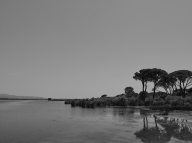 Photographie intitulée "Pines at the lake" par Dimitrios Paterakis, Œuvre d'art originale, Photographie numérique