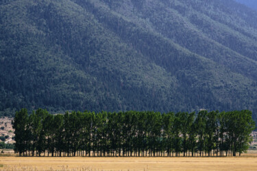 Photographie intitulée "On  the line" par Dimitrios Paterakis, Œuvre d'art originale, Photographie numérique