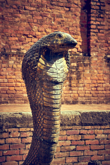 Photography titled "Bronze cobra" by Dimitrios Paterakis, Original Artwork, Digital Photography