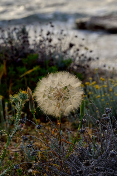 Fotografía titulada "Light ball" por Dimitrios Paterakis, Obra de arte original, Fotografía digital