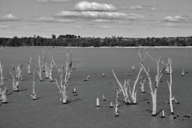 Photographie intitulée "River statues" par Dimitrios Paterakis, Œuvre d'art originale, Photographie numérique