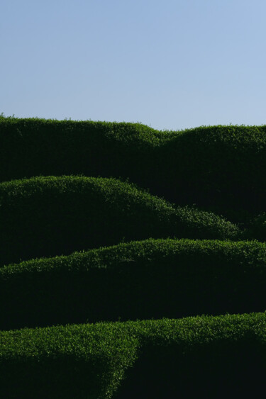 Photographie intitulée "Levels of green" par Dimitrios Paterakis, Œuvre d'art originale, Photographie numérique